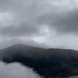 Meet your Posher, Gage